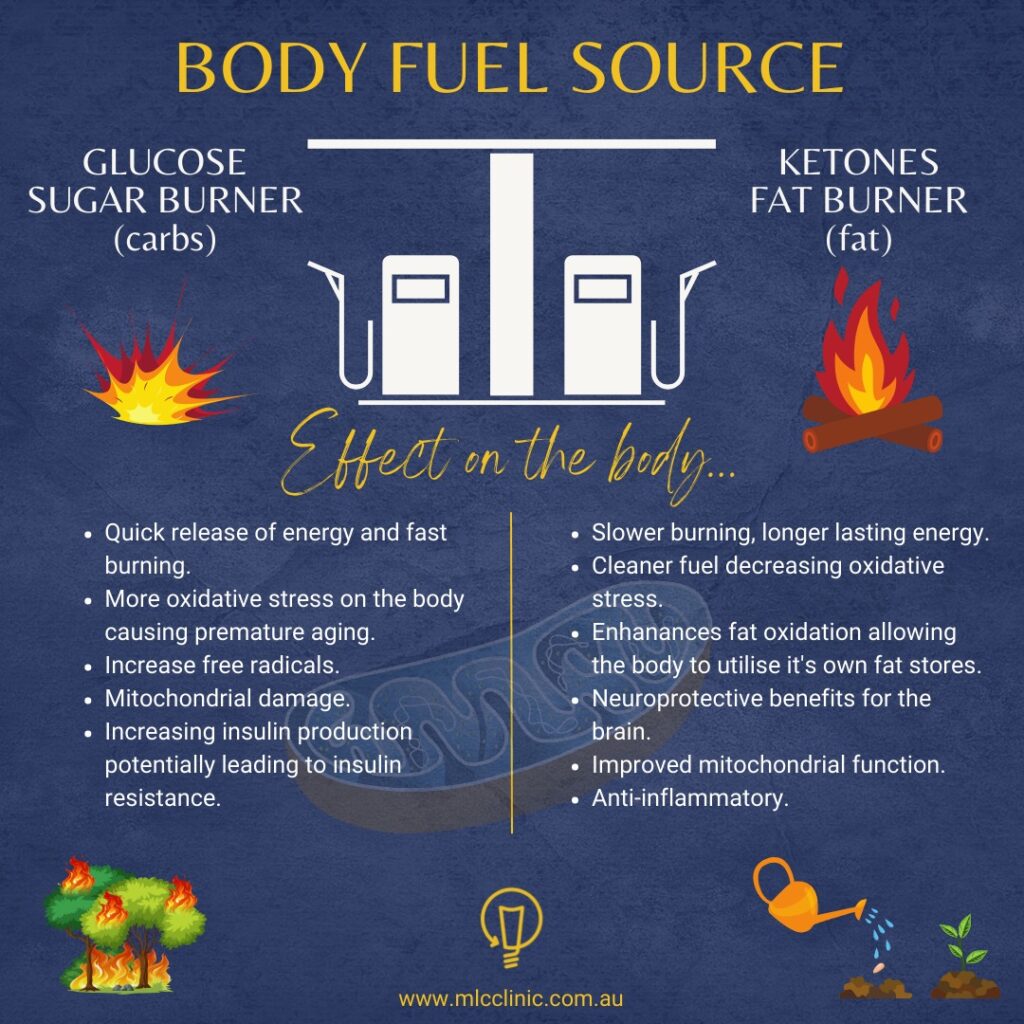 Side by side list of the effects carbs and fat have on the body's fuel source.